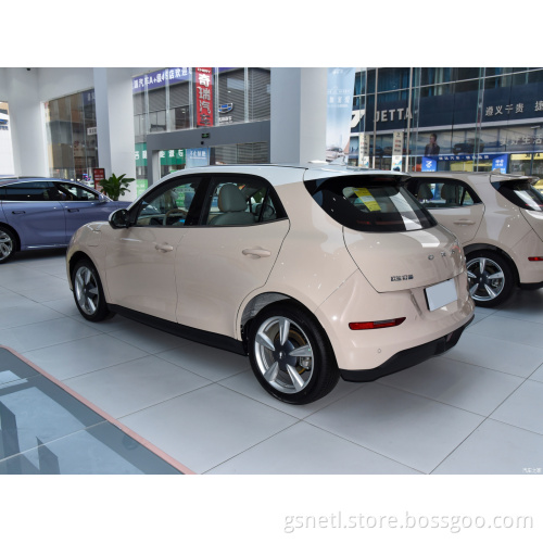 Made in China Brand New Four Wheelers 460km Energy Vehicle Car EV With ORA GT 2022